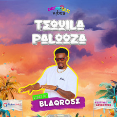 DESPECIBLE VIBES - TEQUILA PALOOZA LIVE AUDIO