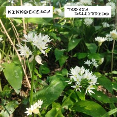Contrab-basso