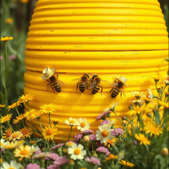 Bee Farm  (Instrumental)