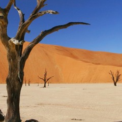 Tronéo - Hona  (Boubacar Traoré)