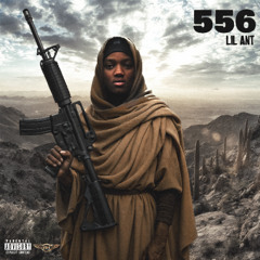 1i1an1 - 556 (Black Mansion Exclusive)