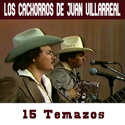 Los Cachorros de Juan Villarreal - Un Complejo