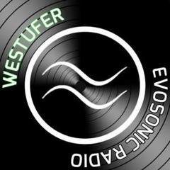 2021 - 11 - 22.Westufer 131 - Martin Vitzthum Live Mitschnitt Vom Bunker21