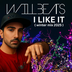 Will Beats - I Like It ( winter music 2025 )