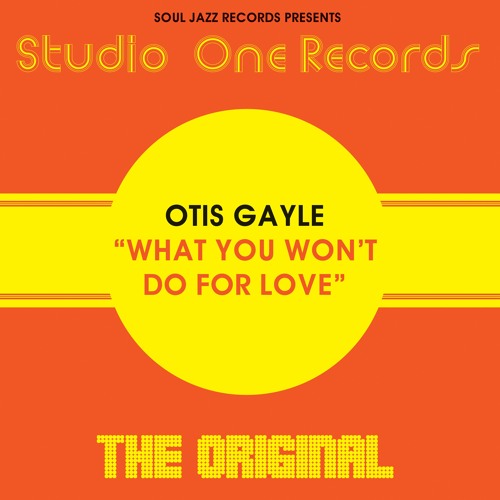 What You Won't Do For Love