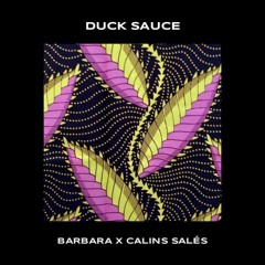 Duck Sauce - Barbara x Calins Salés (WIDDER Live Edit) [BUY = FREE DL]