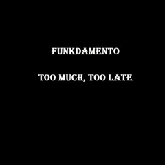 Funkdamento - Too Much Too Late