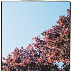 short groove ft. alan watts