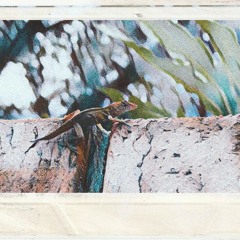 Are You Still Gonna Be My Friend Demo