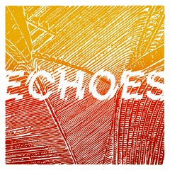 PREMIERE: D-Nite - Echoes [Fine Grains]