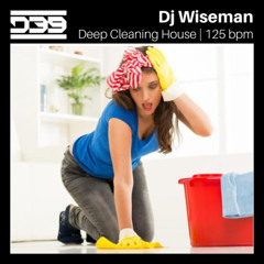 Wiseman - Deep Cleaning House | House DJ Set