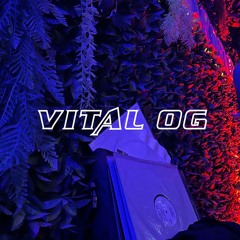 VINYL SET GARDENER – VITAL OG (Warm Ludmi Di Pasquale) 28–12–24