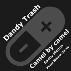 Camel by camel (Sandy Marton Mix Vocal Cover)