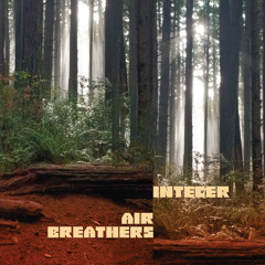 Integer - Air Breathers
