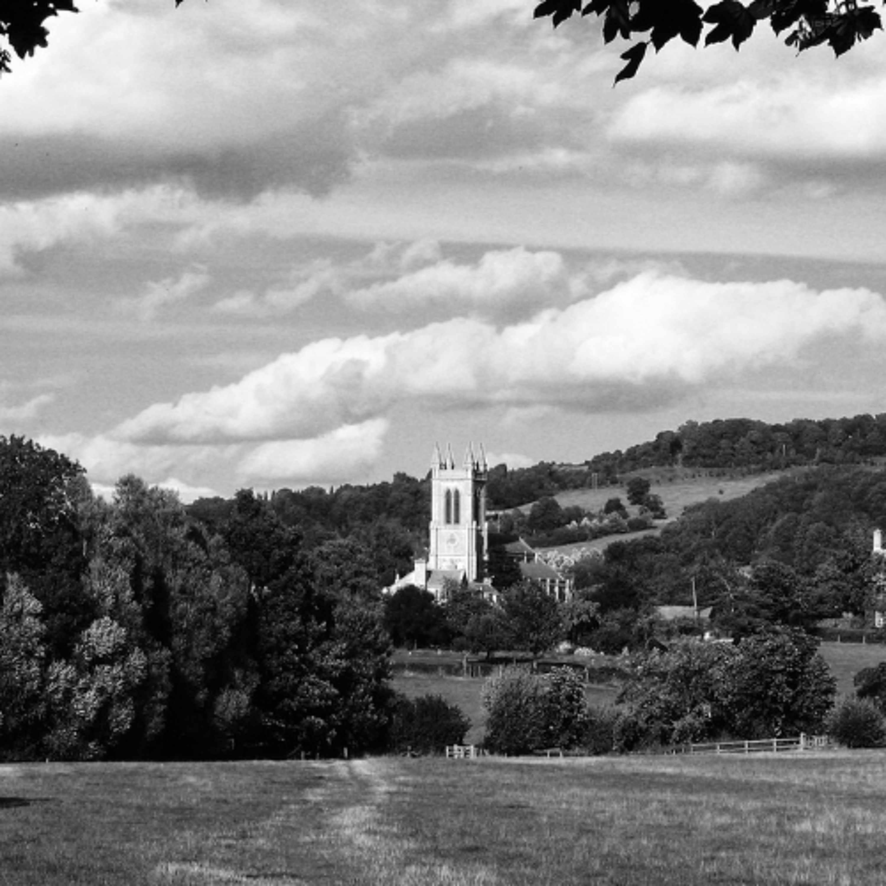 Heaven Beyond the Trees
