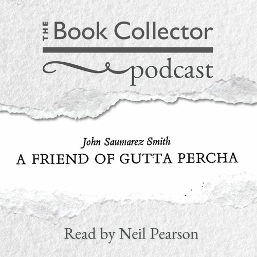 A Friend Of Gutta Percha, by John Saumarez Smith