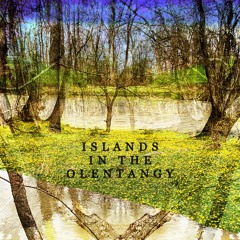 Islands In The Olentangy