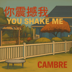 You Shake Me