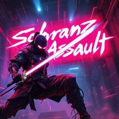 Schranz Assault