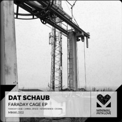 Premiere : Dat Schaub - Faraday Cage (MINWL002)