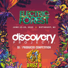 {Bruz-B} Electric Forest Discovery Project Mix