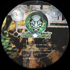 Psykopunk - Motherfuckers