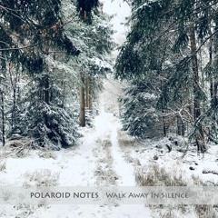 Polaroid Notes - Walk Away In Silence