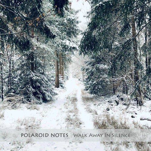 Polaroid Notes - Walk Away In Silence