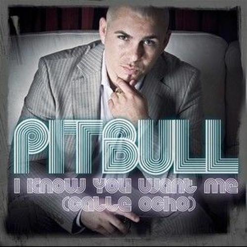 I Know You Want Me X Parada De Tettas - Pitbull X Vengaboys (Florian Hamelink Edit)