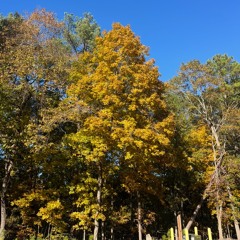 My God, my Portion, and my Love