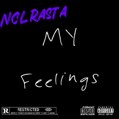 My Feelings(prod.by vice the producer )