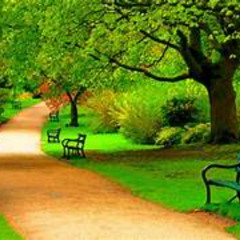 a new chapter w telxry and sixcults