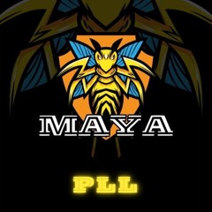 Maya L’abeille Intro PLL ( DJ BRYAN Remix )