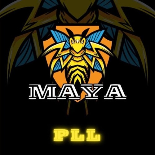 Maya L’abeille Intro PLL ( DJ Bryan Shatta Remix )