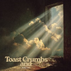 Eclipsed Oasis Dreams