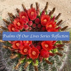 Psalms Of Our Lives Series Reflection