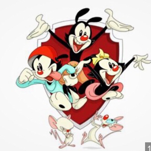 Animaniacs 2020 Reboot It Song