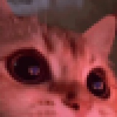 Meowsynth But Its Minecraft