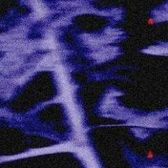 BACKWOODS💙 (prod. Treasvre)