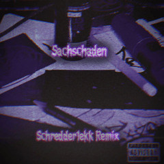 Sachschaden -  EKZO Tekk [ScHRedDer_TEKK Tekk Remix]