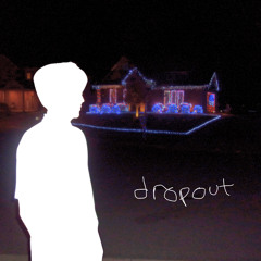 Dropout