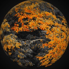 Turning Leaves