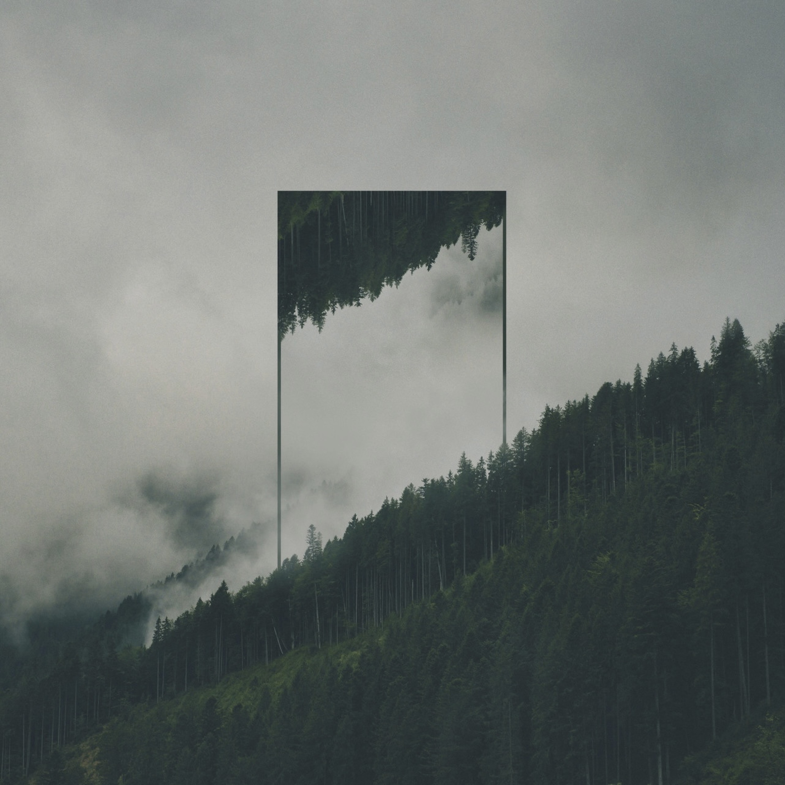 Thom Monn