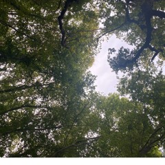 Fluorescent Street - 14:10:2024, 17.42