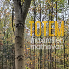 TOTEM 7 by Maximilien Mathevon