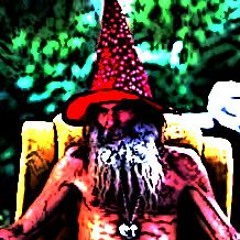 Meth Wizard Karaoke Meltdown (Ween LMLYP cover)
