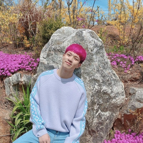 유회승, 미교 술이 문제야