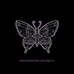 Black Butterflies & Déjà Vu - The Maine (Trailing Noises Cover)