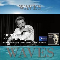 Je Te Promets Johnny Hallyday