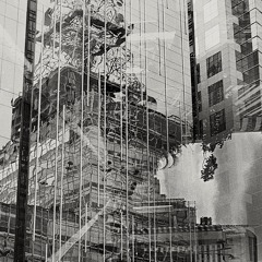Veil Within